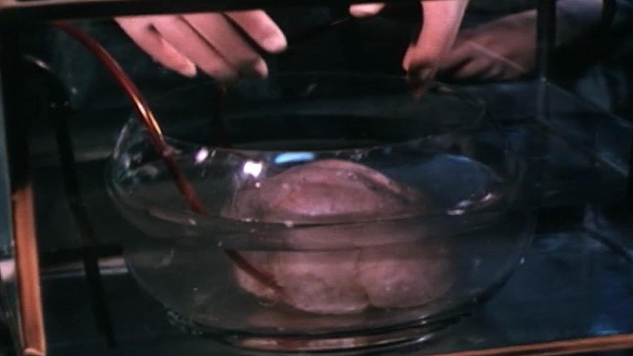 The Man in the Jar
