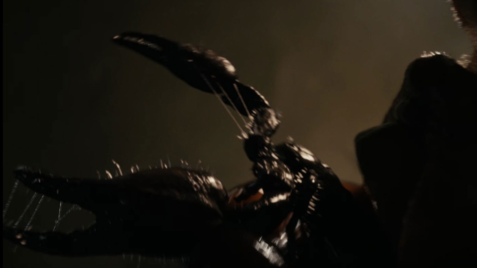 Lee Cronin's The Mummy backdrop