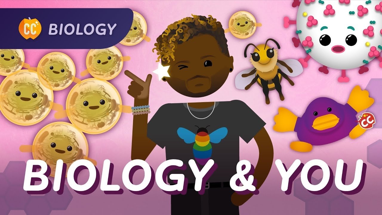 Crash Course Biology - Épisode 50