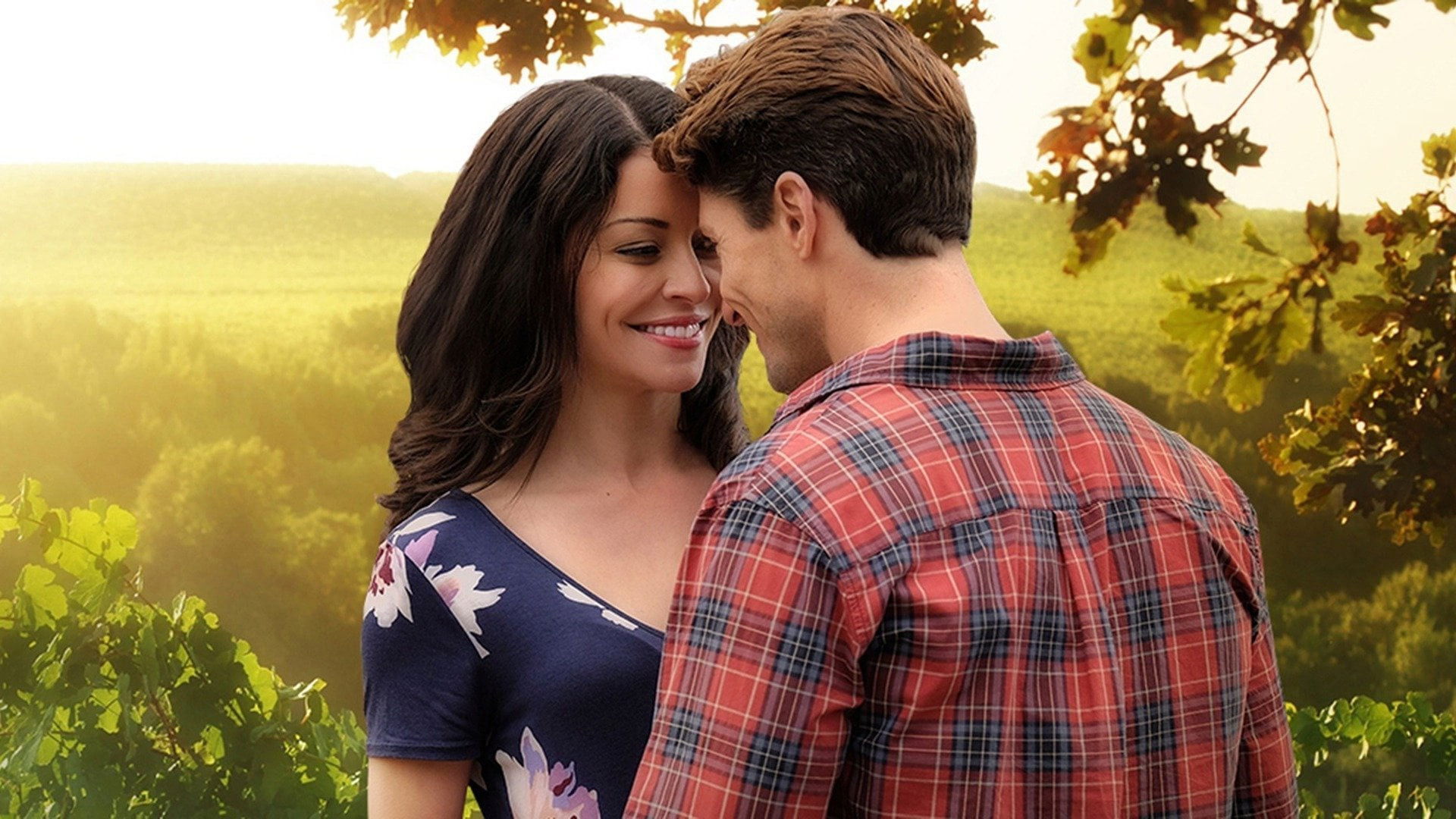 Imagem do Filme Love in the Vineyard
