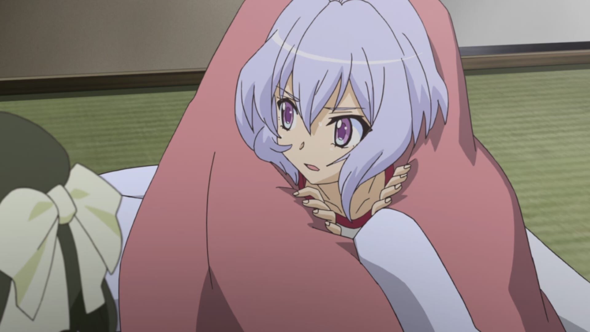 Superb Song of the Valkyries: Symphogear