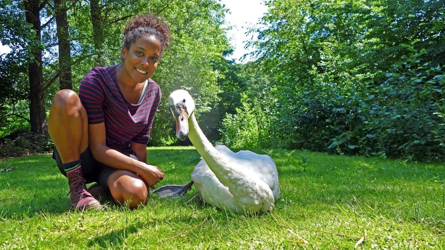 Pia und die wilden Tiere