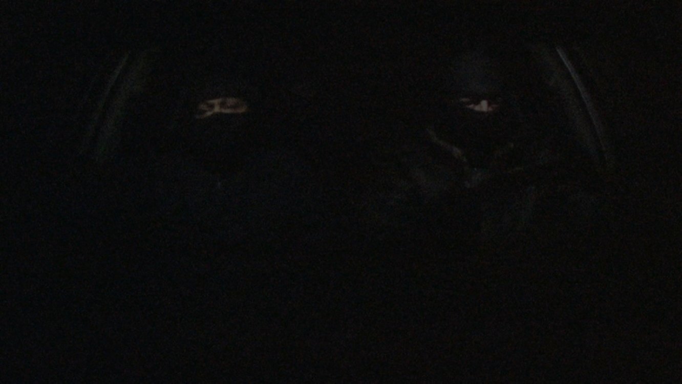 The Wolves