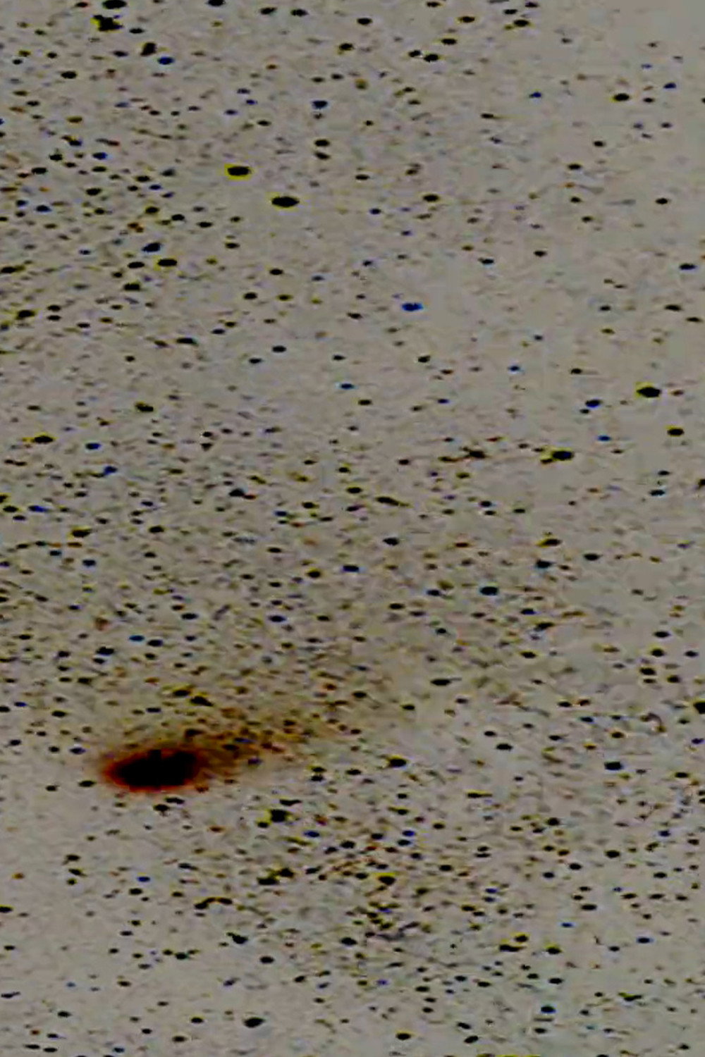 Halley&rsquo;s Comet