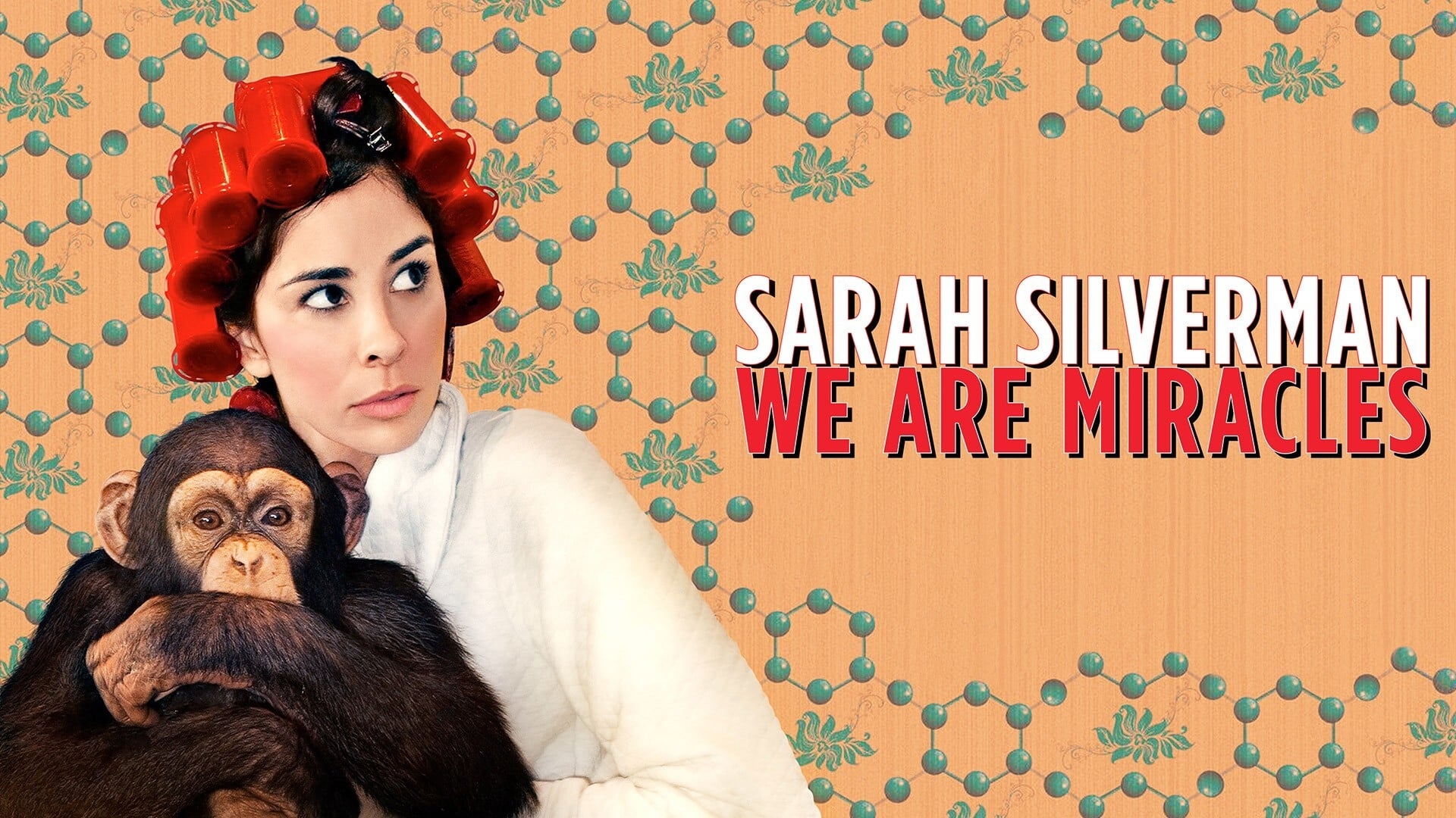 Sarah Silverman: We Are Miracles (2013)