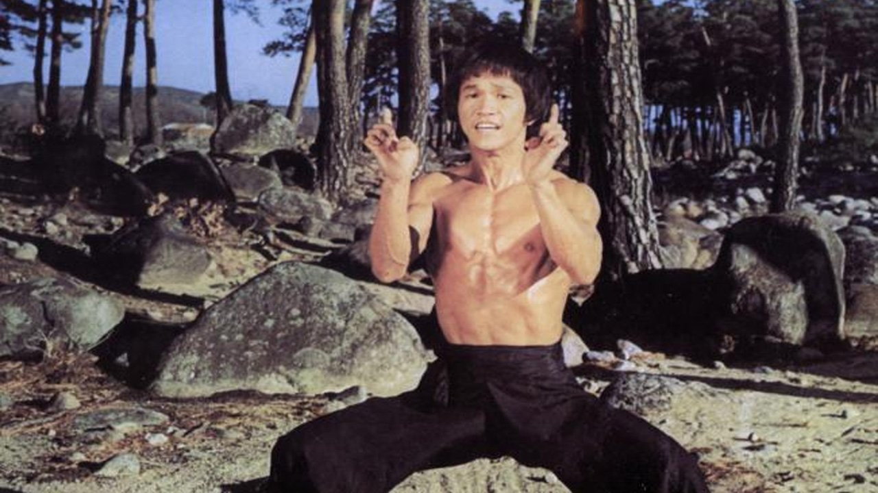 Bruce and Shaolin Kung Fu (1977)