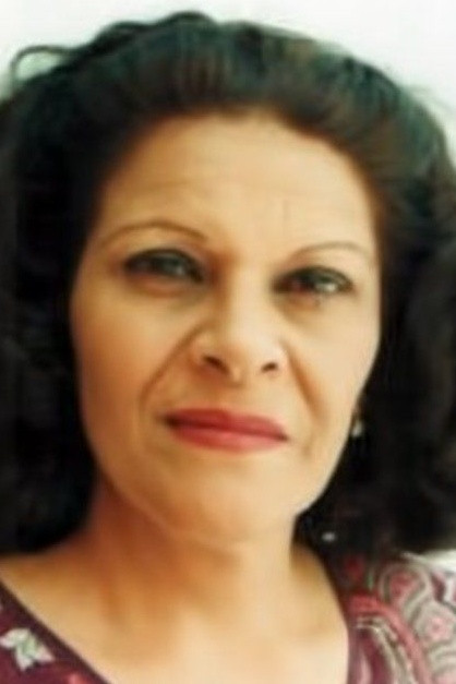 et billede af Wijdan Al Adib