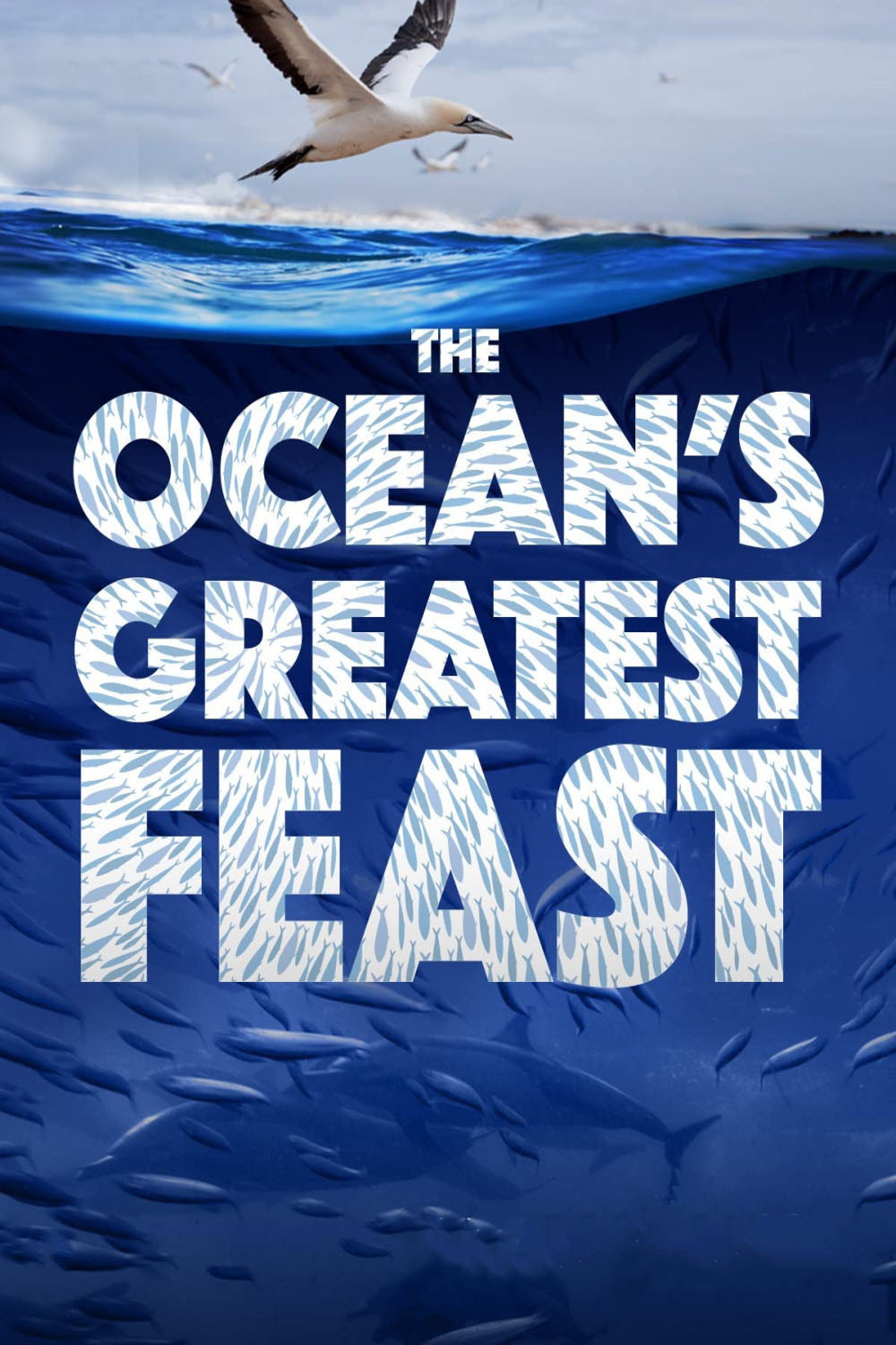 The Ocean&rsquo;s Greatest Feast