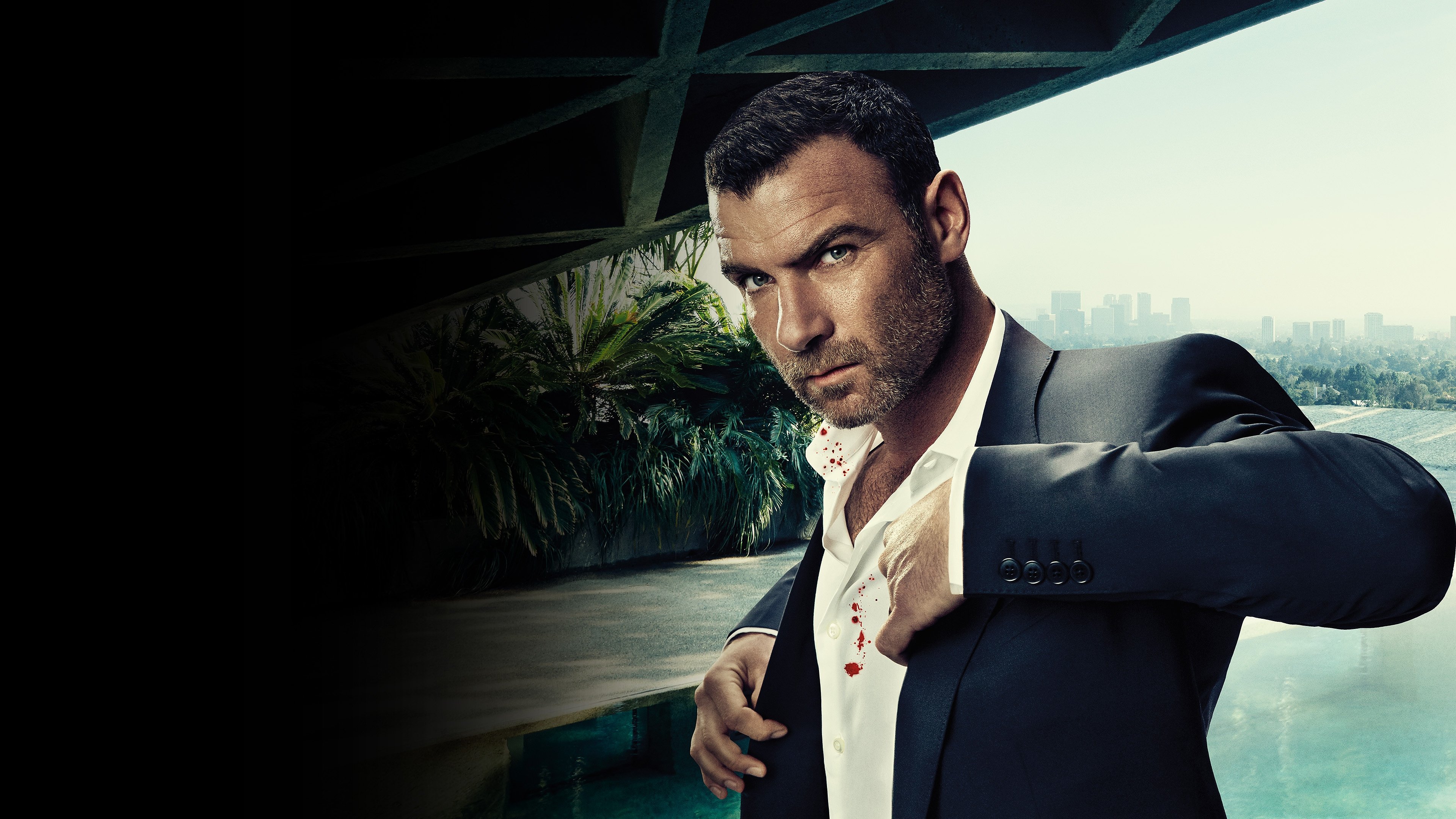 Ray Donovan - Season 6