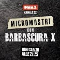Micromostri con Barbascura X