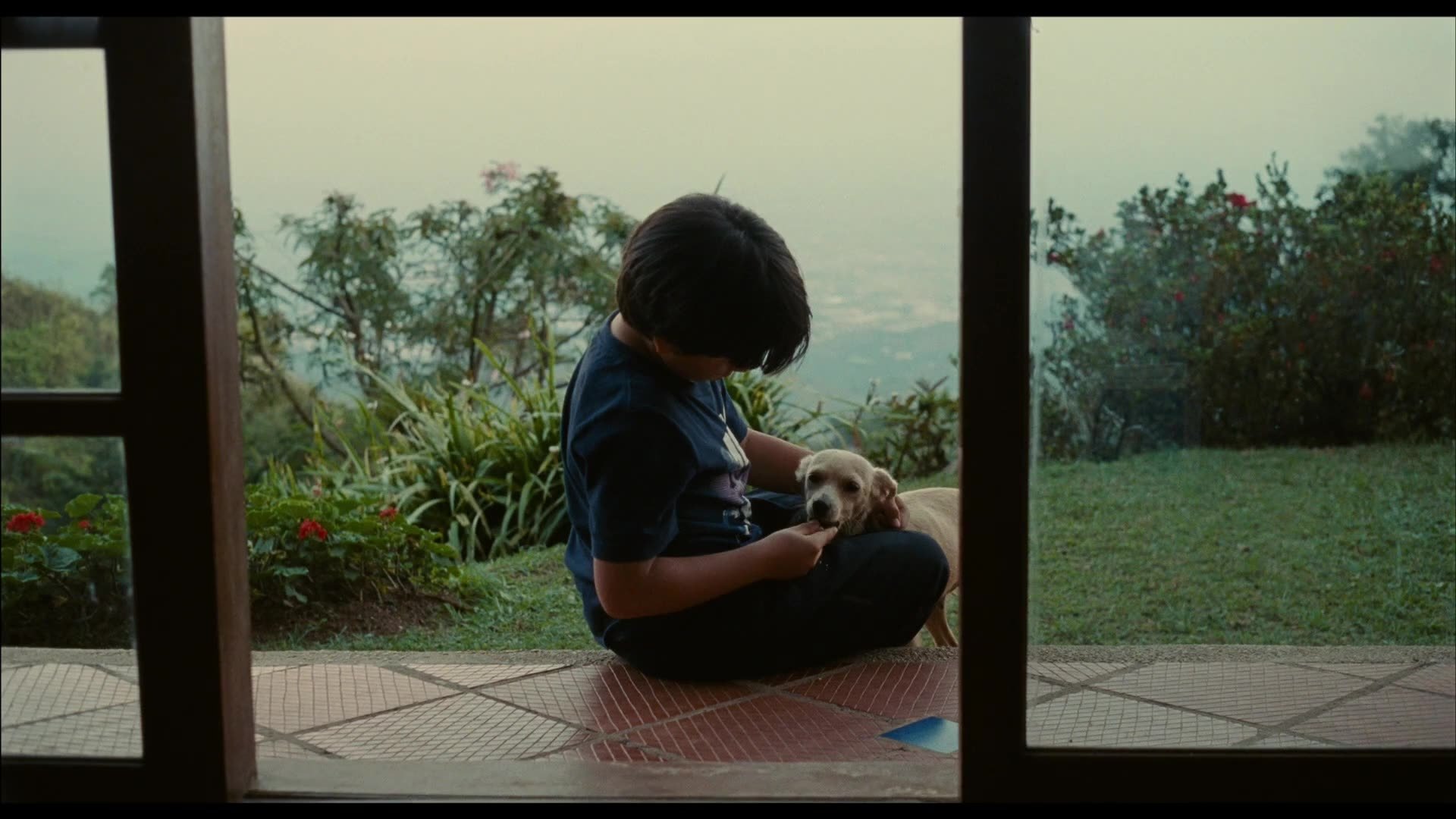 Gust (2013)