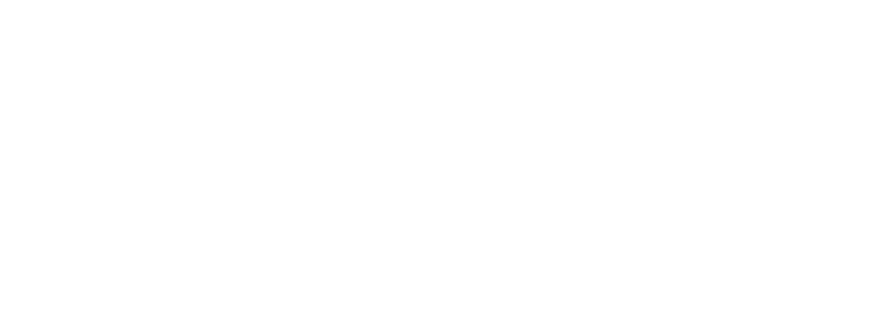 The Dirty Dozen Logo