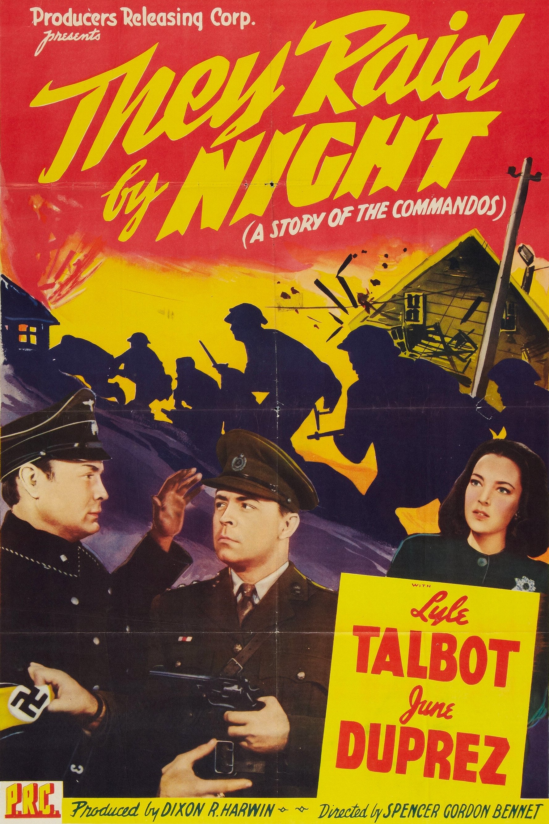 They Raid by Night