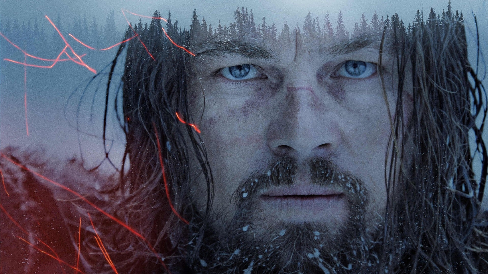 Image du film The Revenant t81kcskqishnnvrfqavw2ns9wv7jpg