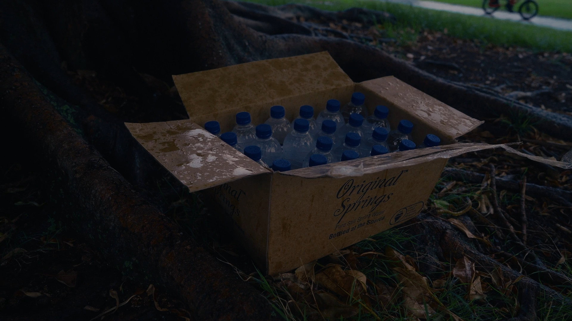 SYDNEY HIMH JOSEPH VANOYE CUT