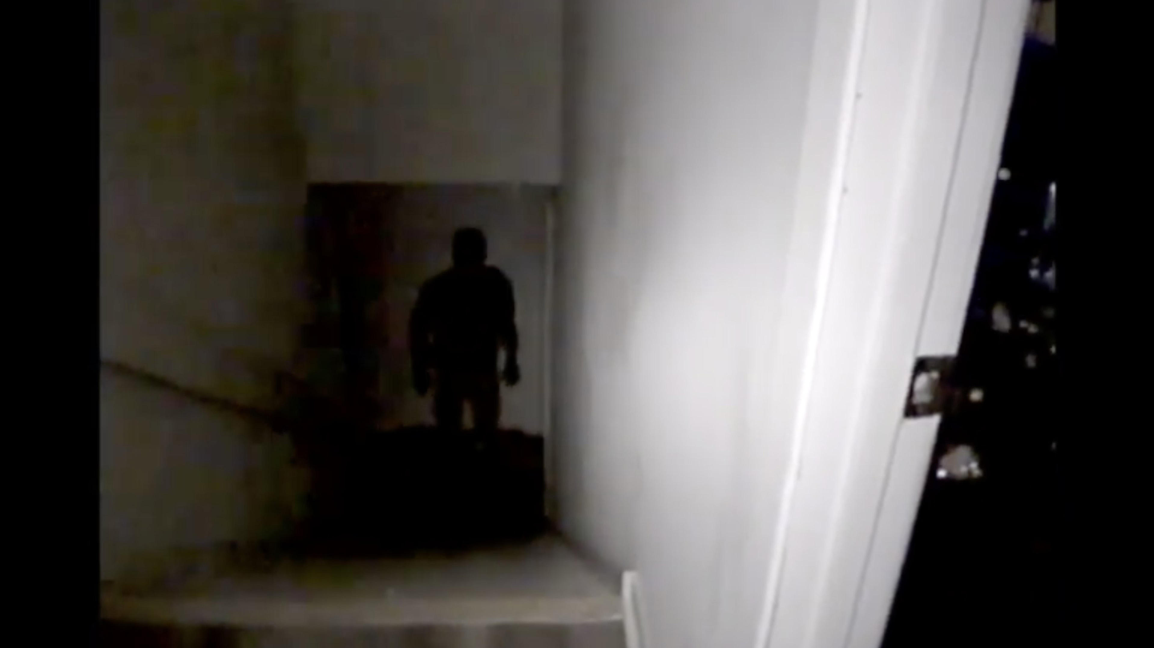 Tapeface (2024)