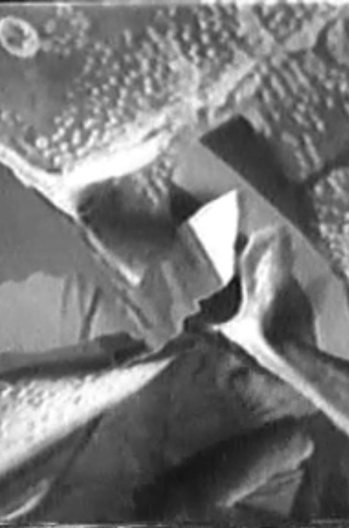 Poster for Rituals for a Still Life