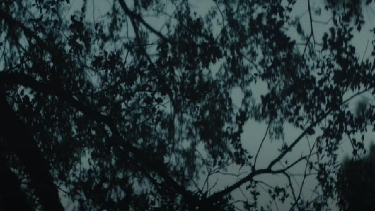 Lumberjacked background