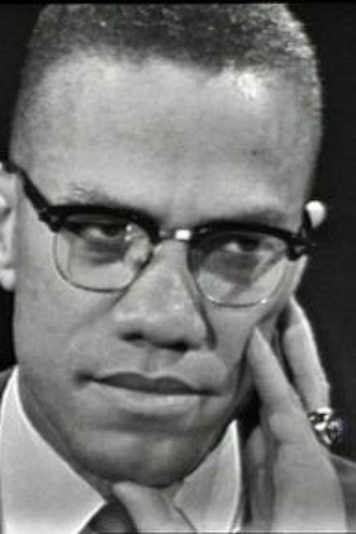 The Negro and the American Promise The Negro and the American Promise