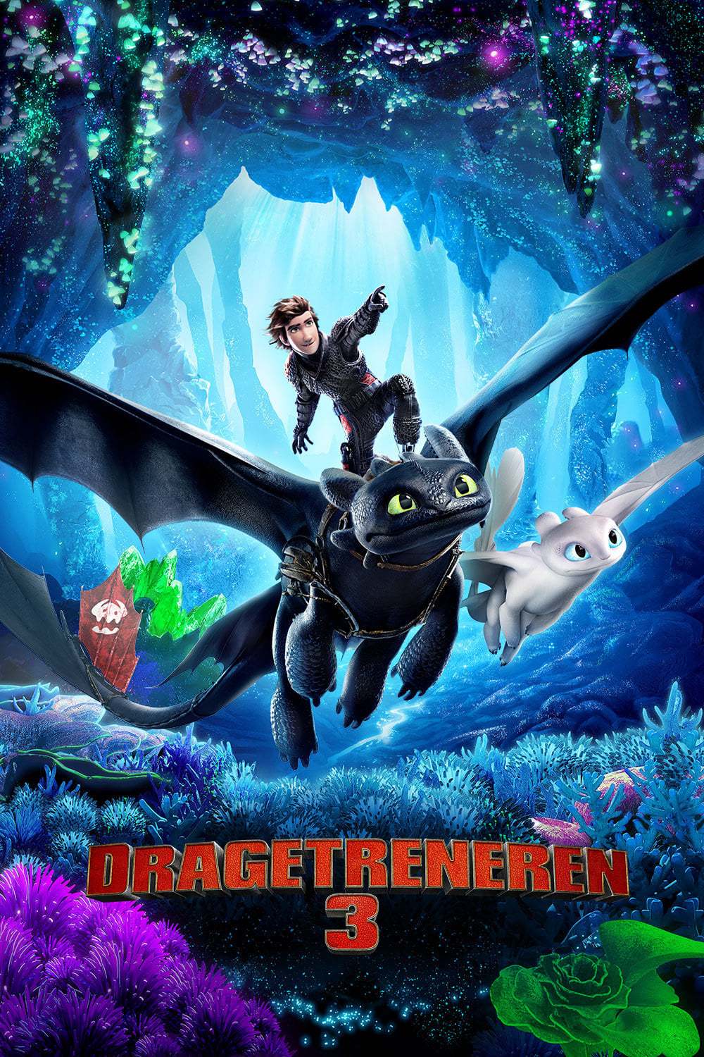 NO How To Train Your Dragon The Hidden World