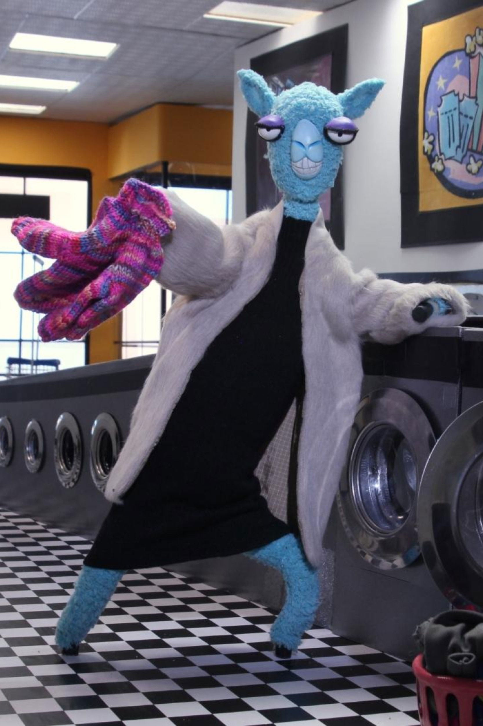 Llamas at the Laundromat