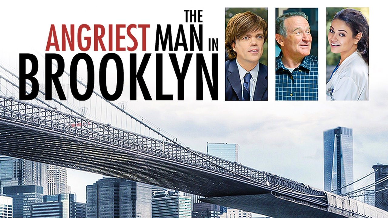 The Angriest Man in Brooklyn (2014)