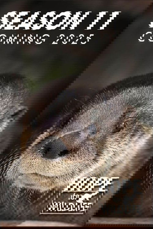 Hope for Wildlife - Season 11
