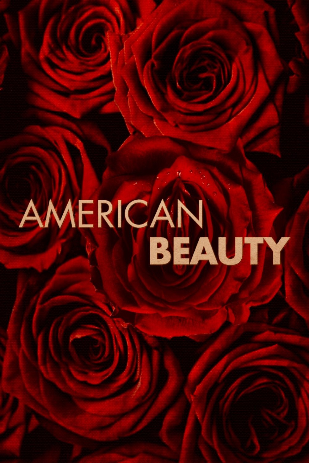 American Beauty
