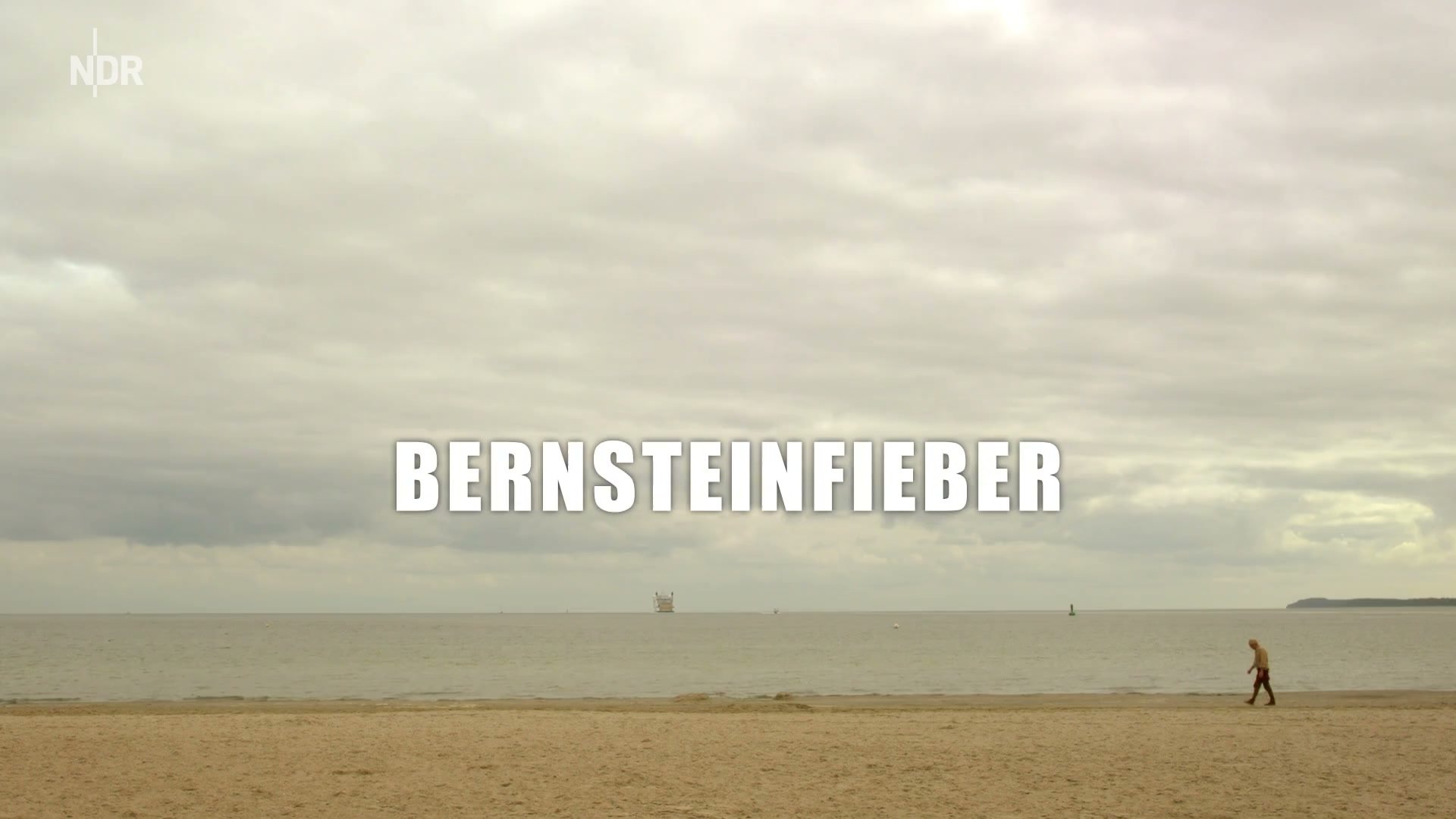 Heiter bis tödlich - Morden im Norden