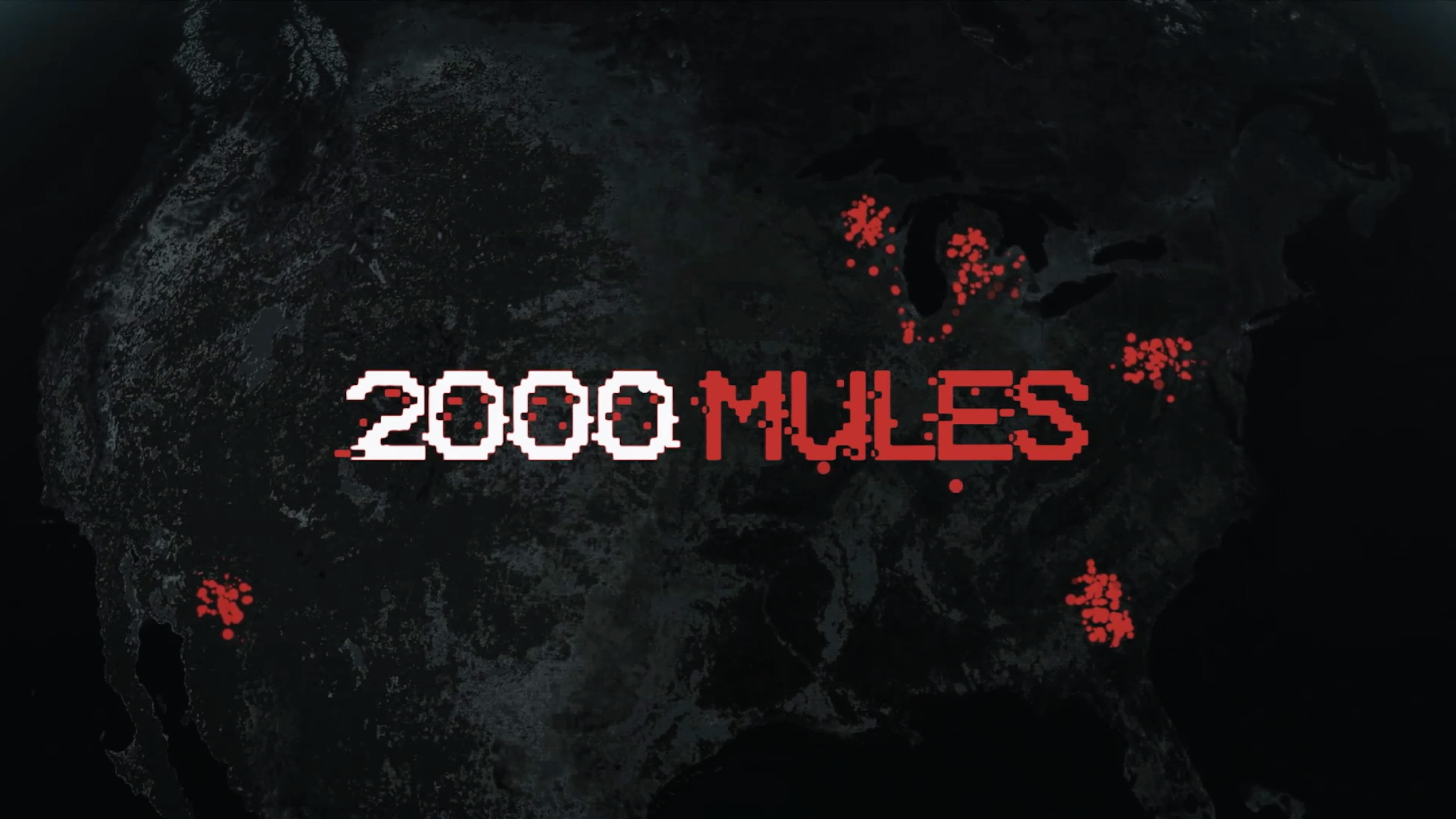 2000 Mules (2022)
