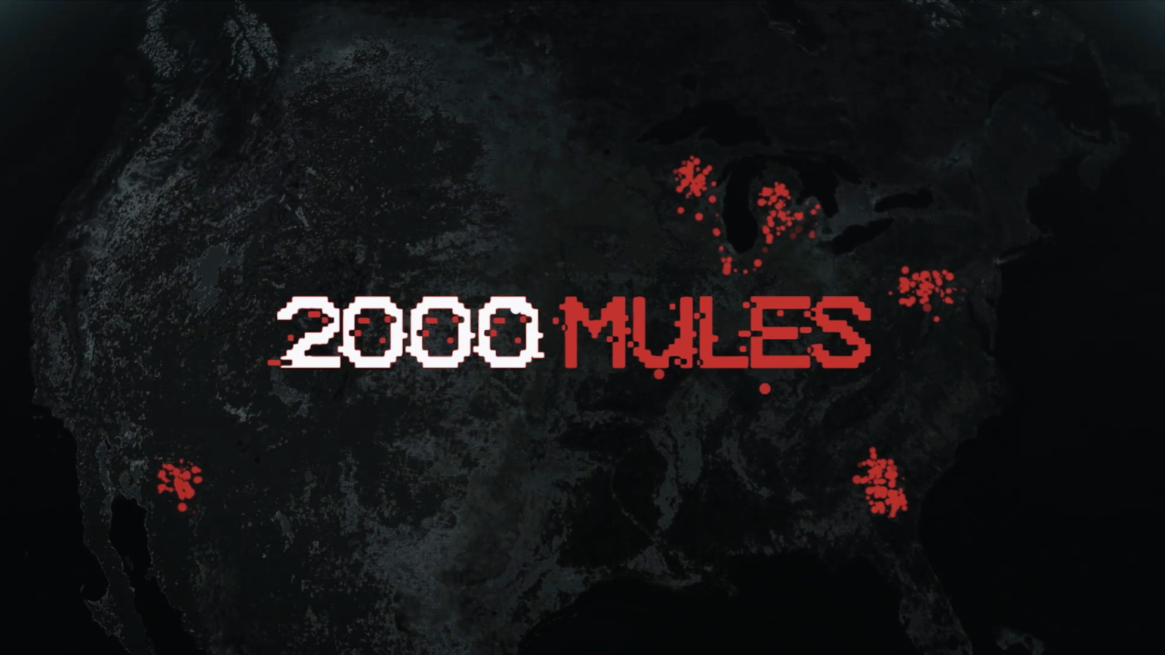 2000 Mules