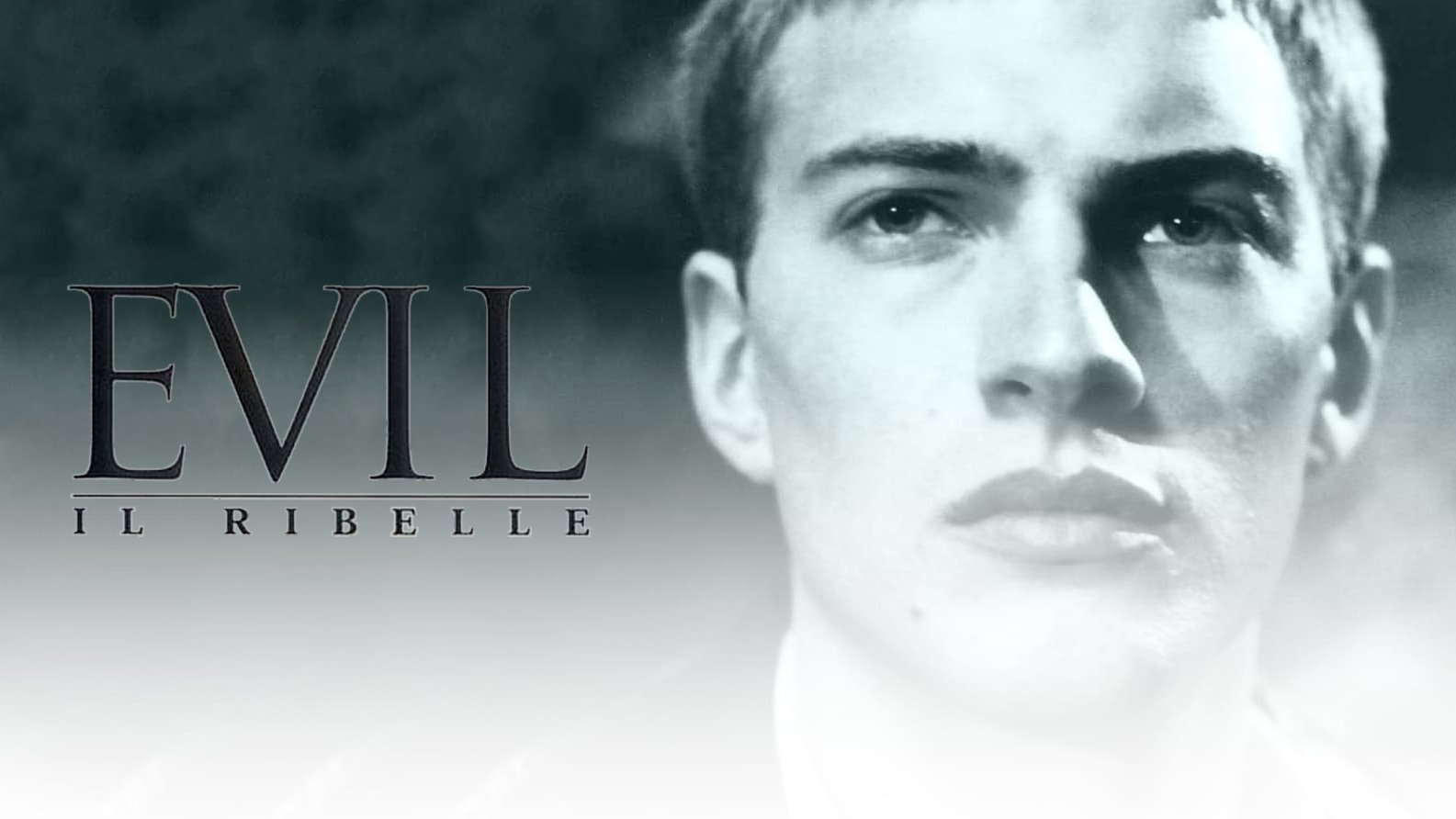 Evil (2003)