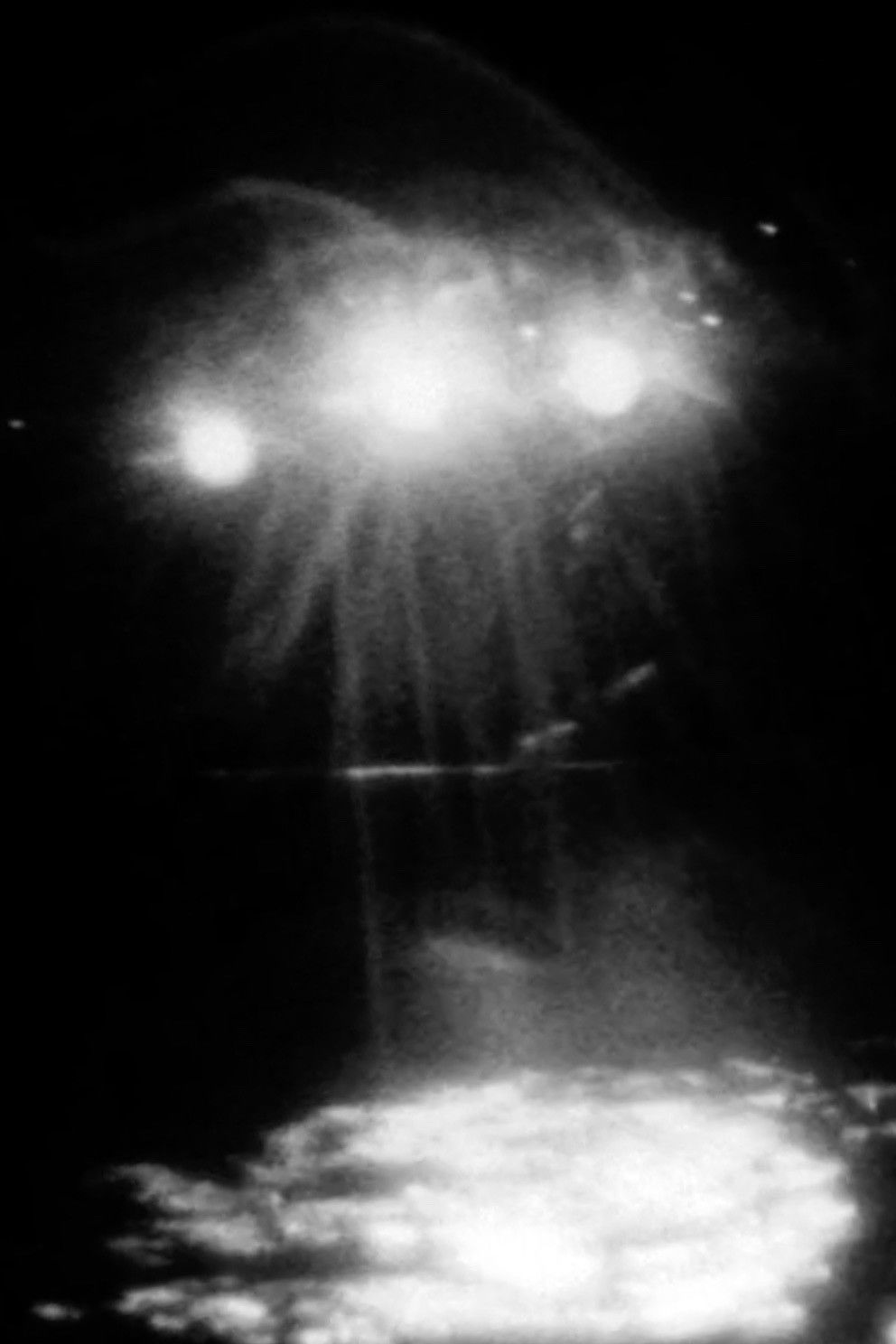 In Girum Imus Nocte Poster