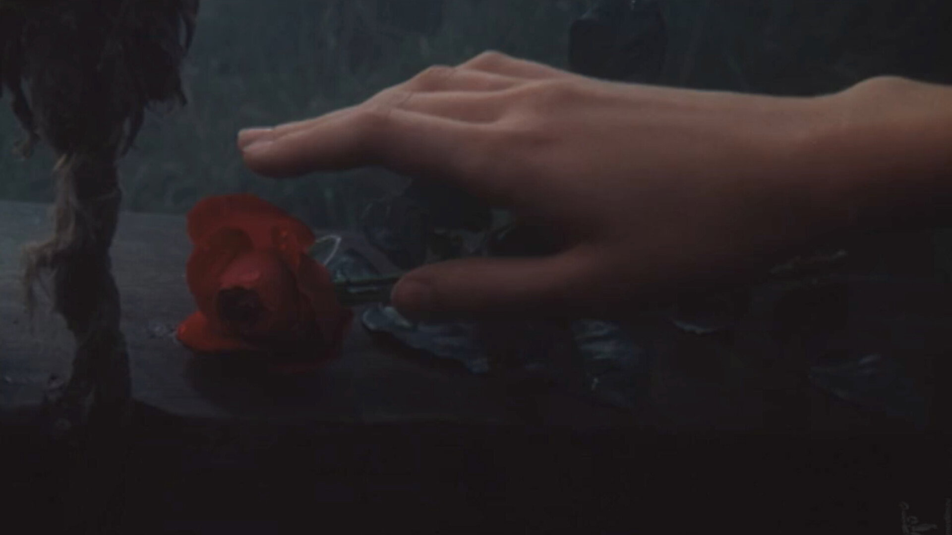 The Garden of Desires