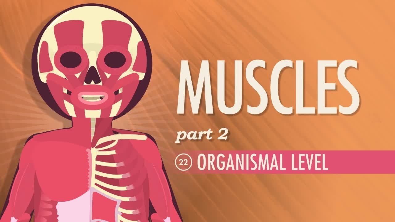Episode 22