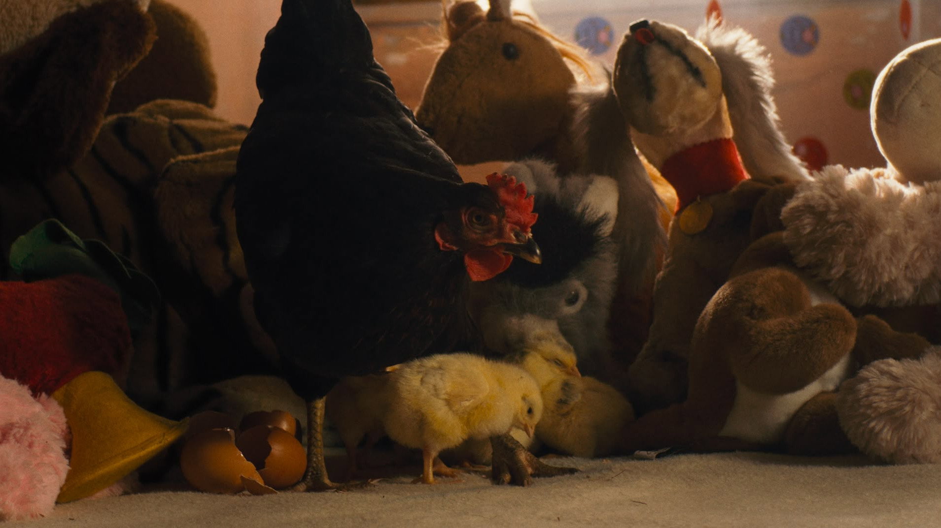 Hen (2026) — still 6