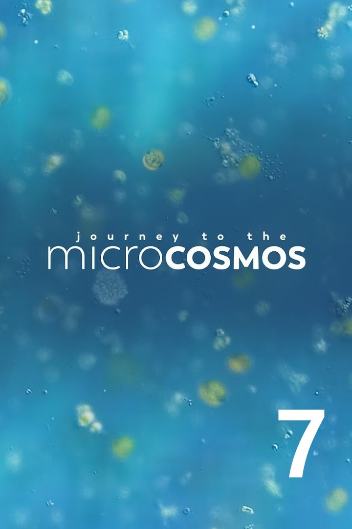 Journey to the Microcosmos - Season 7