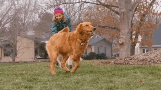 The Wizard of Paws 2x6