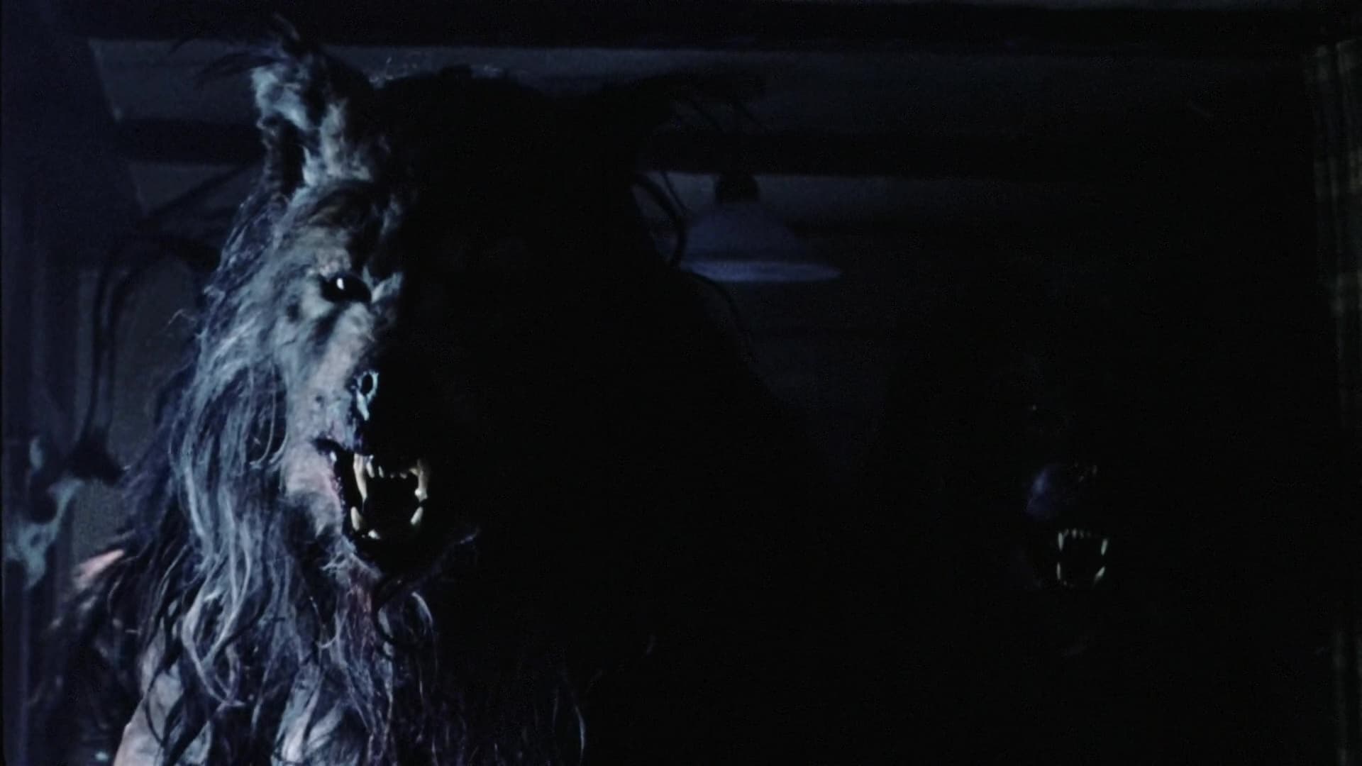 Dog Soldiers (2002) - Backdrops — The Movie Database (TMDb)