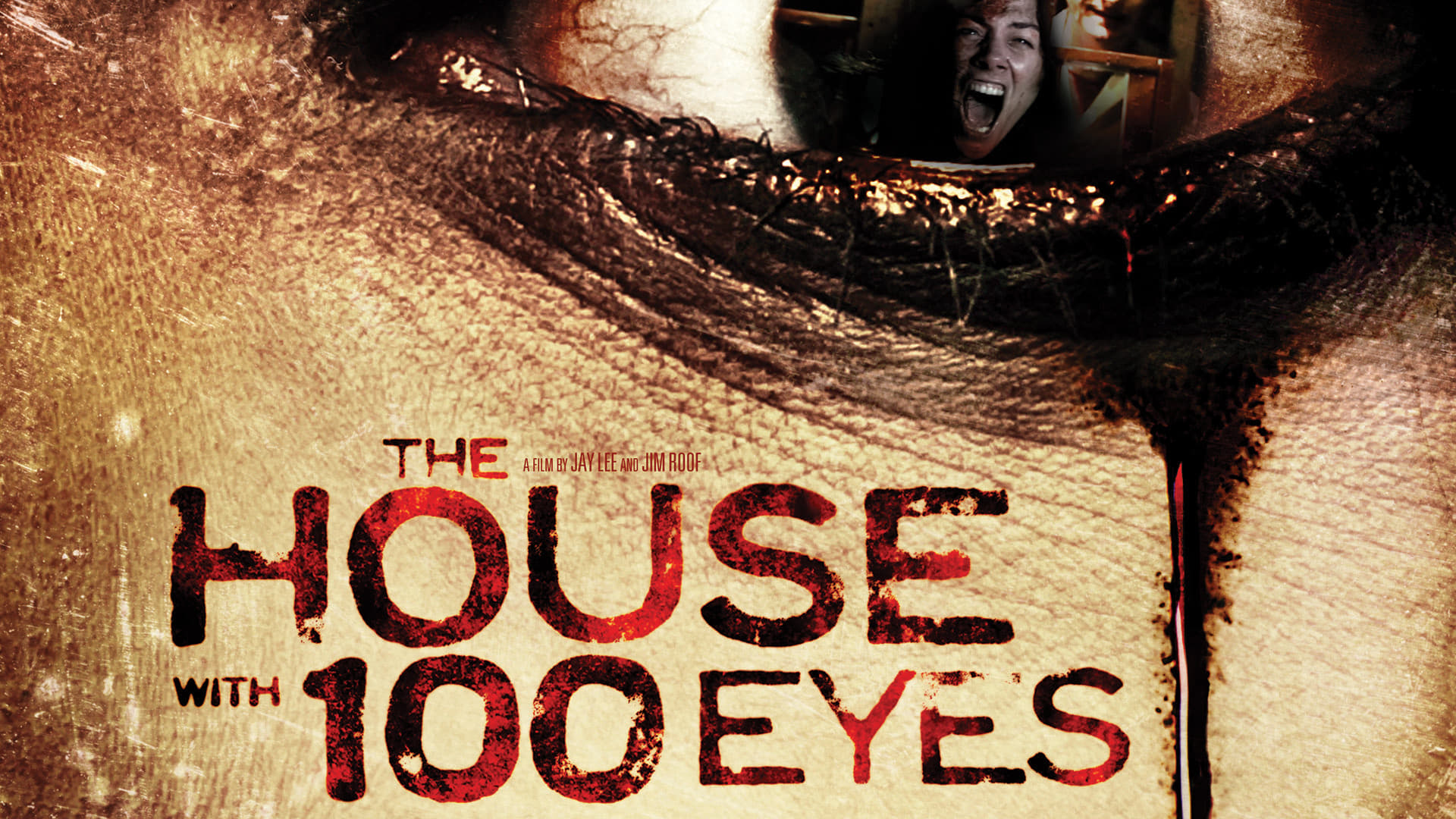 The House with 100 Eyes (2012)