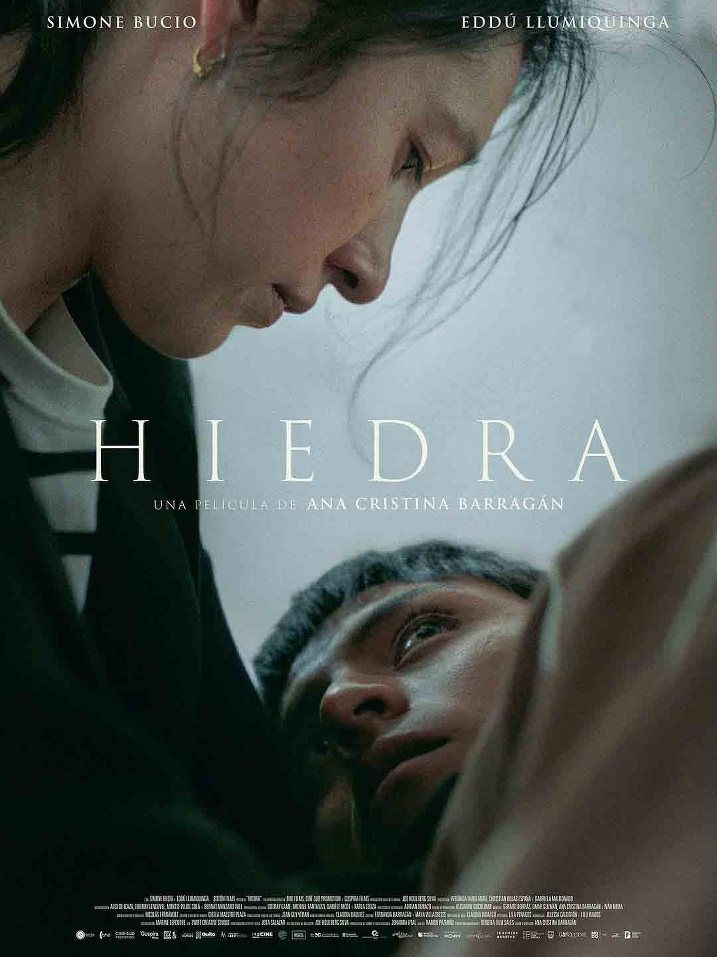 Hiedra