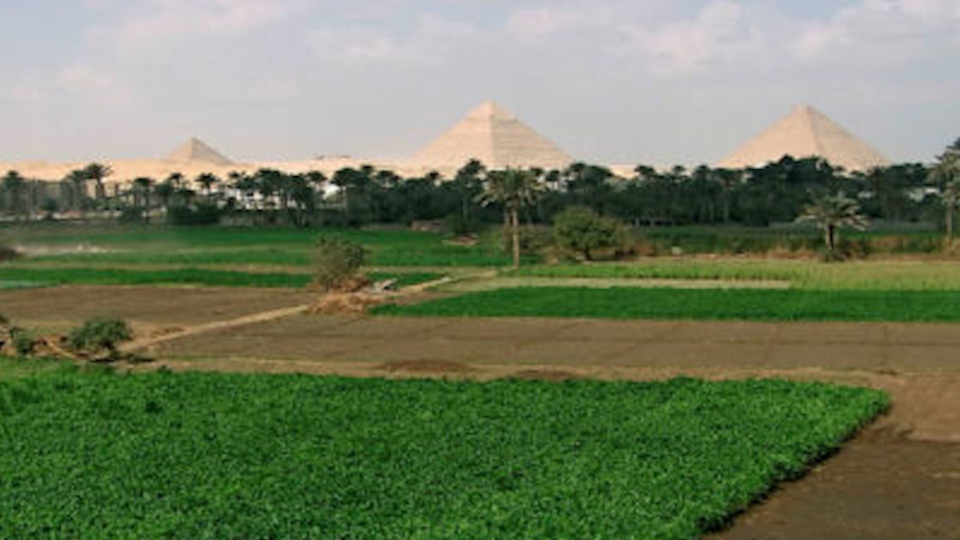 J'ai vu changer la Terre - Egypte, les metamorphoses du delta