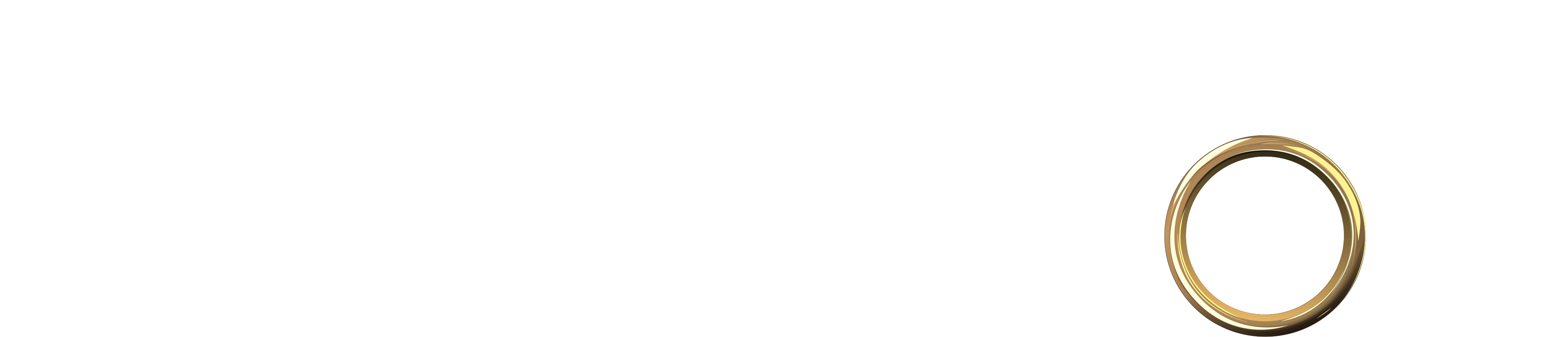The Bachelor Logo