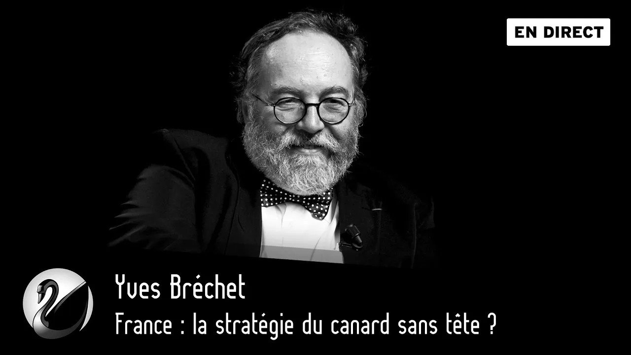 Thinkerview - France : la stratégie du canard sans tête ? Yves Bréchet