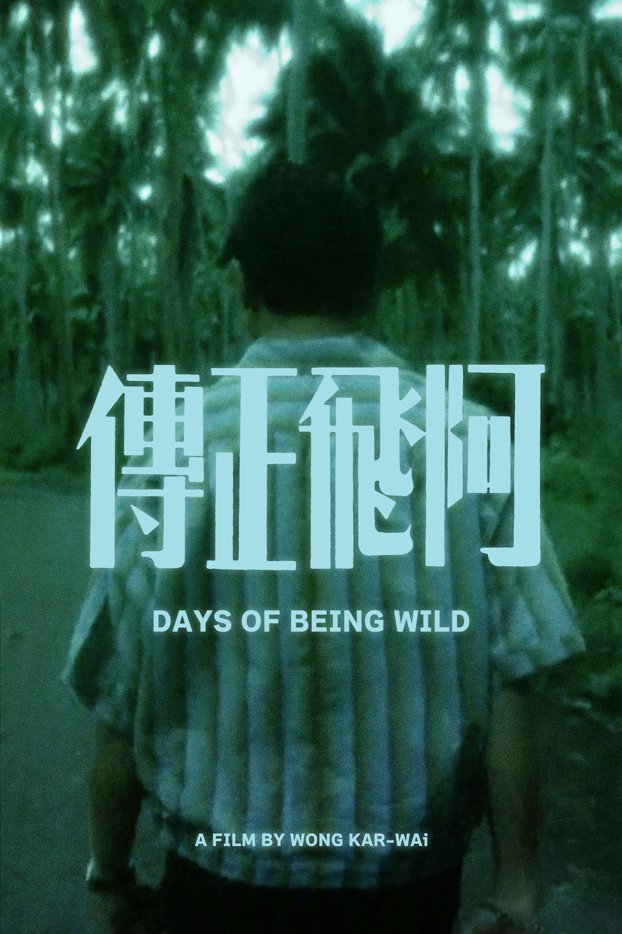 Days of Being Wild