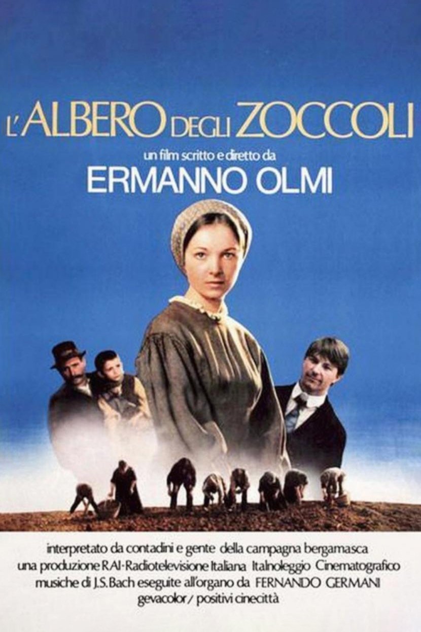 A Árvore dos Tamancos A Árvore dos Tamancos
