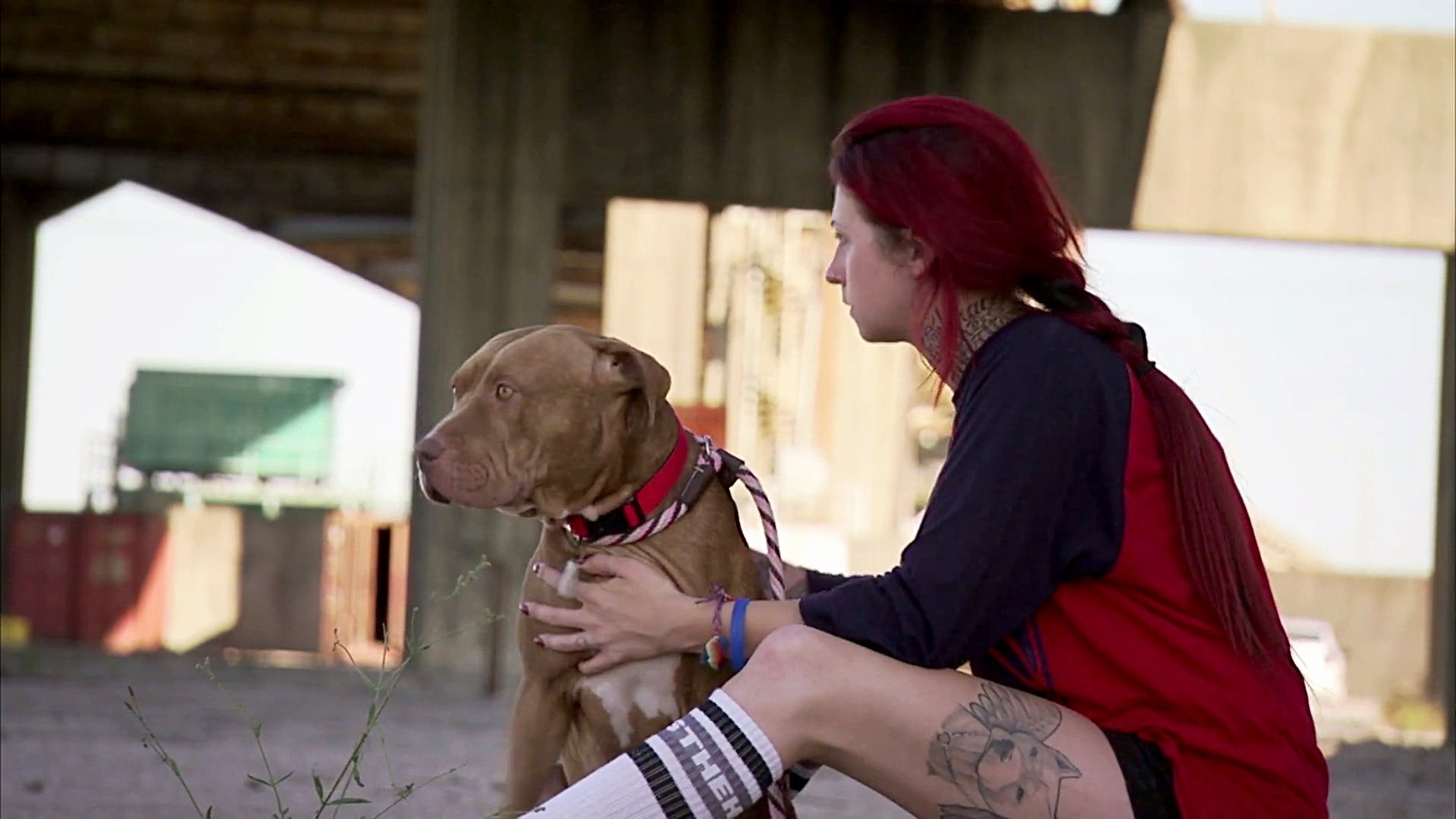 Pitbulls et prisonniers - Épisode 12