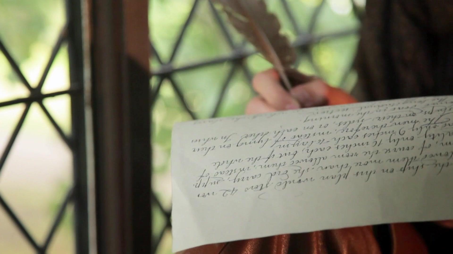 The Shakespeare Enigma (2011)