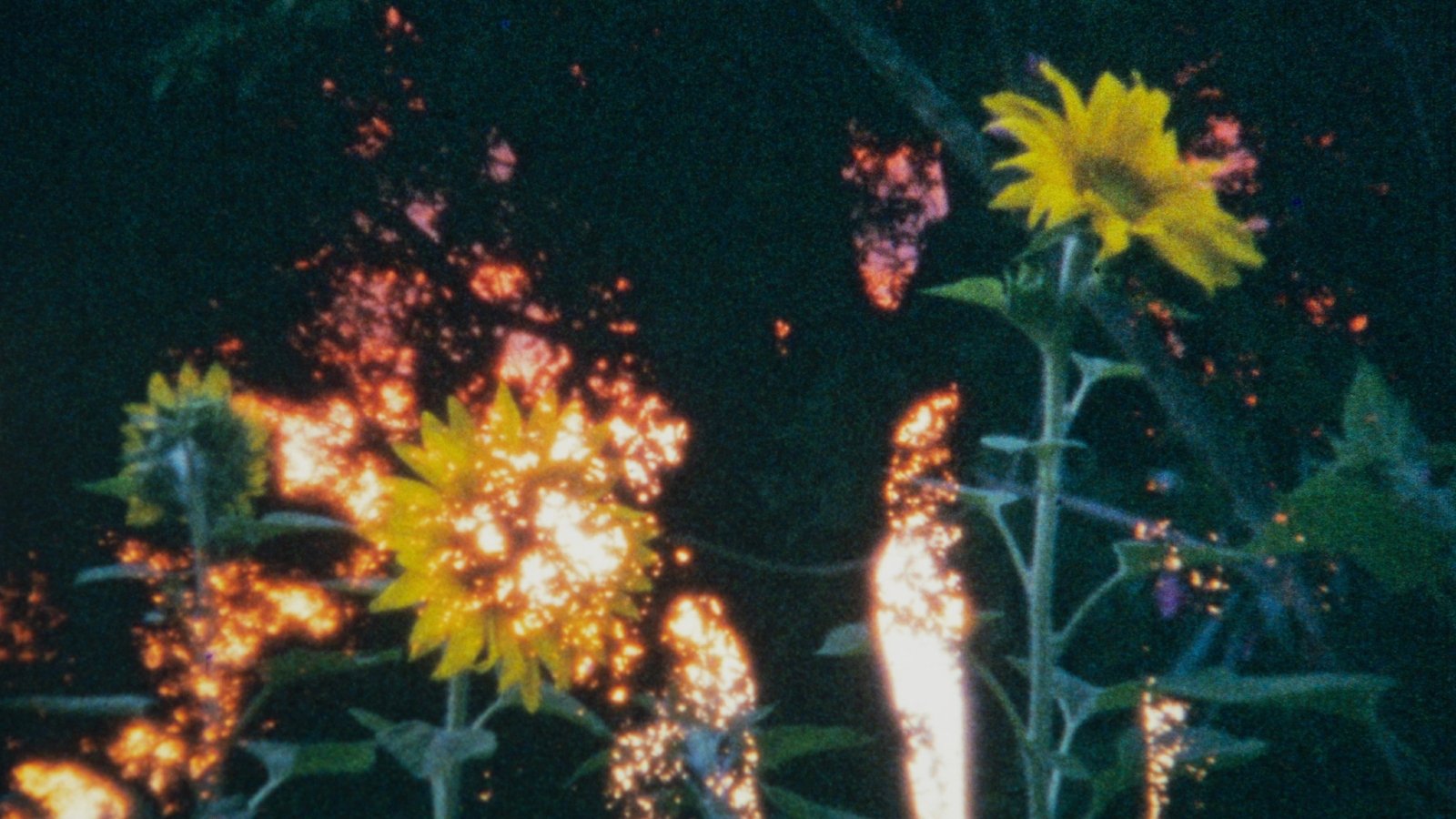 Lux Taal (2009)