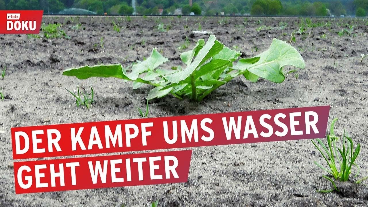 Imagem do Filme Auf dem Trockenen - Der Kampf ums Wasser geht weiter